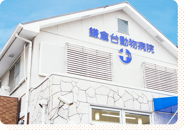 鎌倉台動物病院