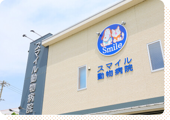  スマイル動物病院(一宮店)