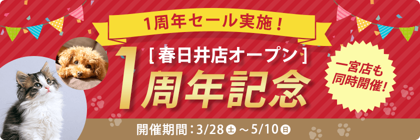 ハピースペット春日井店1周年記念