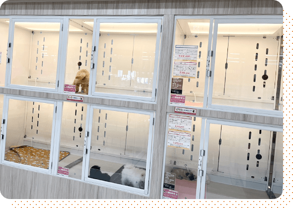 ハピースペット一宮三条アミーゴ店