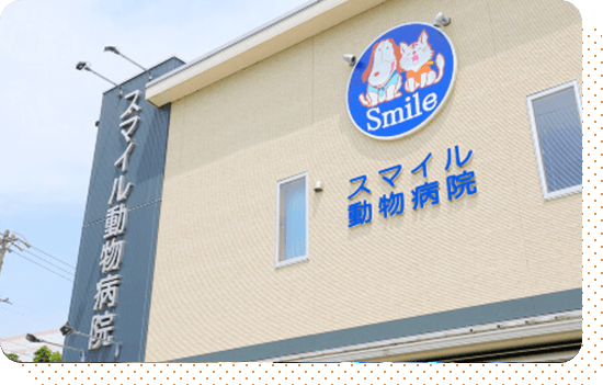 スマイル動物病院